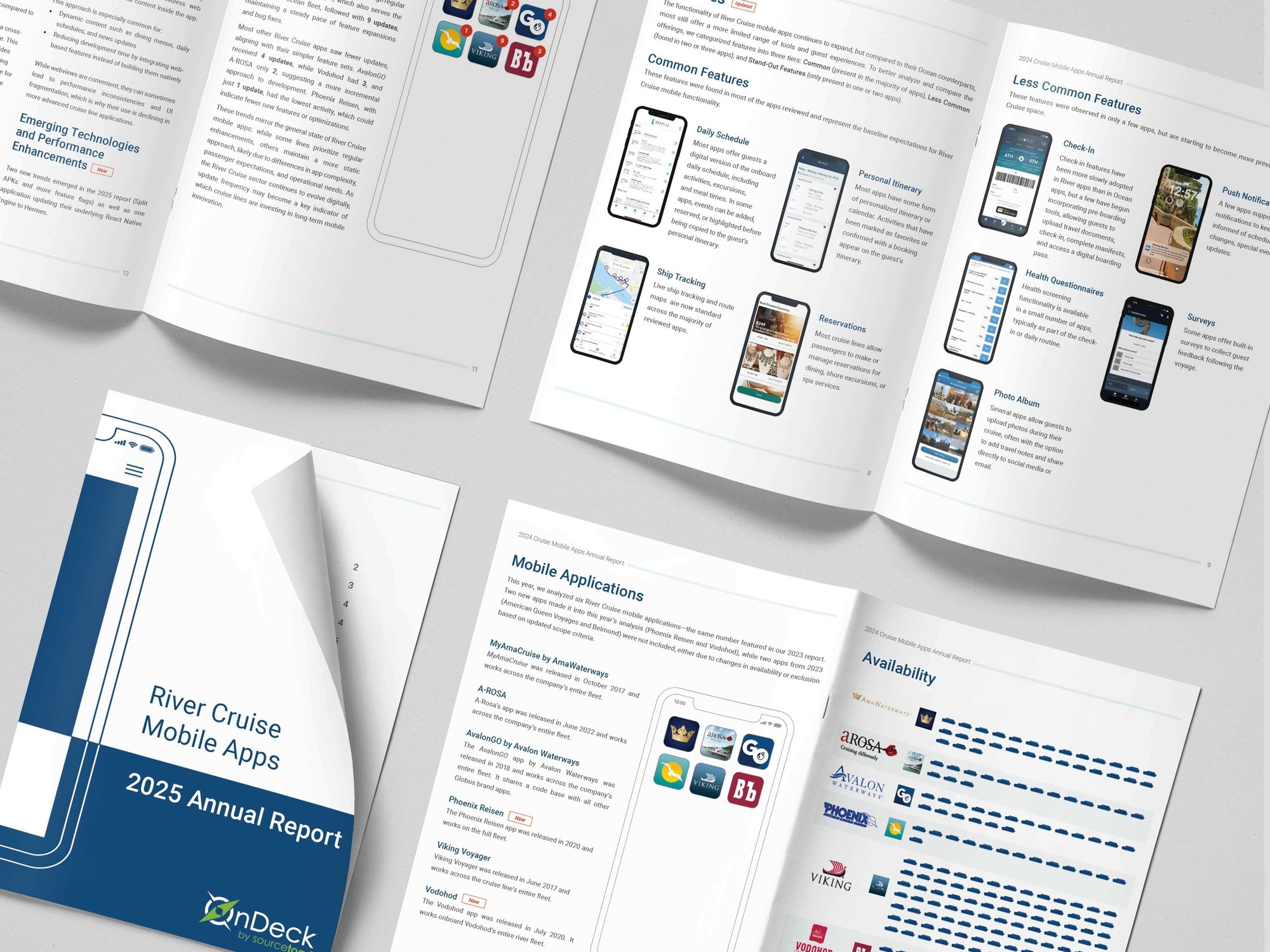 2025 App Report Mockup copy